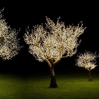 Bäume mit LED Leuchten / LED Licht