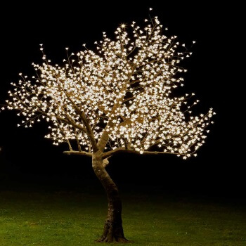Bäume mit LED-Leuchten